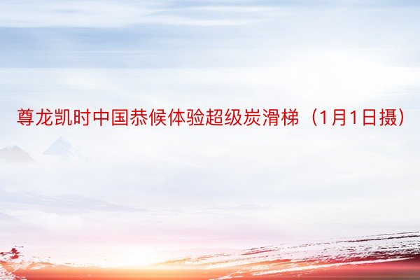 尊龙凯时中国恭候体验超级炭滑梯（1月1日摄）