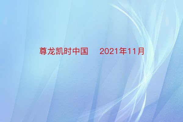 尊龙凯时中国    2021年11月